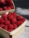 Close up of a pint of raspberries on white Royalty Free Stock Photo