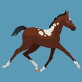 A small bay pony with spots runs at a trot. Horses icons flat style. Vector isolated illustration