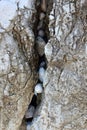 Small beach pebbles stones stuck in a crack between two big rocks vertical background Royalty Free Stock Photo