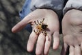 Small bead spider in the hands.