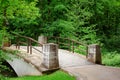 Small beautiful bridge in the park in summer among green trees Royalty Free Stock Photo