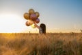 Small beautiful girl with balloons in the gold wheat field Royalty Free Stock Photo