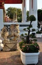 A small beautiful tree and sculptures of mythical animals near the entrance to a Buddhist temple