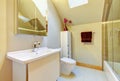 Small beige bathroom with shower, toilet and vaulted ceiling
