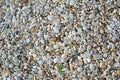 Small beige and grey sea pebbles. Natural stone background or wallpaper picture. Summer holidays and garden design