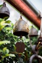 Small bell in the temple sounded in the wind. Royalty Free Stock Photo