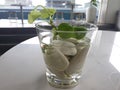 small betel plant in a glass of water with some white stone for decoration Royalty Free Stock Photo