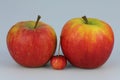 Small and big apples Royalty Free Stock Photo
