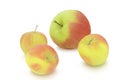 Small and big apples on white background Royalty Free Stock Photo
