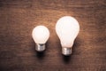 Small and Big Bulb Royalty Free Stock Photo