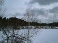 A small birch against the background of a gloomy sky and a forest lake covered with snow Royalty Free Stock Photo