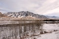 A small birch forest on the bank of a beautiful river flowing through a snow-covered valley in the mountains in early winter Royalty Free Stock Photo