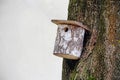 Small birch tree bird house on white wall background