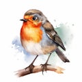 Vibrant Watercolor Robin Illustration On Branch Royalty Free Stock Photo