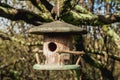 Small bird house in the garden Royalty Free Stock Photo