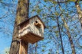 Small bird house Royalty Free Stock Photo