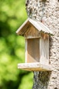 Small Bird House Royalty Free Stock Photo