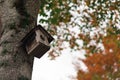 Small bird house on a tree in autumn Royalty Free Stock Photo
