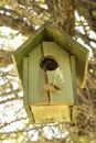 Small bird house on a tree Royalty Free Stock Photo