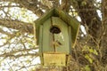 Small bird house on a tree Royalty Free Stock Photo