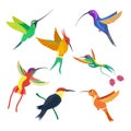 Small bird hummingbird set vector illustration on white background