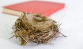 small bird nest on white background Royalty Free Stock Photo