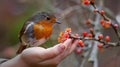 A small bird perched on a persons hand with flowers in the background, AI