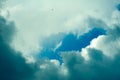 Bird silhouettes against a cloudy sky