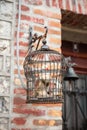 A small bird sits calmly inside a cage beside a rustic brick wall, bathed in warm light. Royalty Free Stock Photo
