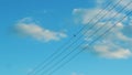 A small bird sits on electrical wires against a blue sky Royalty Free Stock Photo
