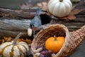 Small bird steals a peanut Royalty Free Stock Photo