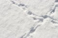 Small bird tracks on white snow, top view, natural background Royalty Free Stock Photo