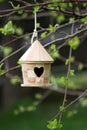 Small Birdhouse In Tree