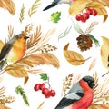 Small Birds Bullfinches, Robin. Autumn Leaves Watercolor, Isolated Background, Hand Drawing. Seamless Pattern.