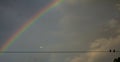 Small birds on lines of electric power. Great storm behind and a rainbow. Airplane in the sky Royalty Free Stock Photo