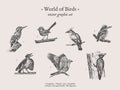 Small birds vector drawings set Royalty Free Stock Photo