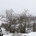 Small birds on wire and tree branches in winter Royalty Free Stock Photo