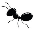 Busy black ant , vector or color illustration