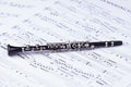 Small black clarinet on notes Royalty Free Stock Photo