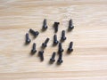 Many black color screws Royalty Free Stock Photo