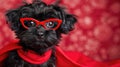 Small black dog with red glasses and cape against a red background.