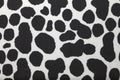 Small Black dot Cow textile pattern