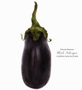 Small Black Eggplant Fruit