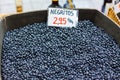 Small black faba beans Royalty Free Stock Photo