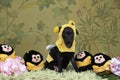 Small black Italian greyhound dog puppy dressed as a bee standing full body against a flower background Royalty Free Stock Photo