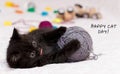 Small black kitten plays with a gray ball of wool