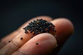 Small black mustard seeds on finger. Faith the size of a mustard seed. Generative AI. Royalty Free Stock Photo