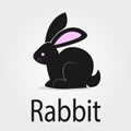 This is small black rabbit Royalty Free Stock Photo