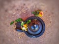 A small, black shiva-lingam made from stone and covered in flowers and bel leaves.