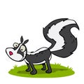 Small black and white stinking skunk Royalty Free Stock Photo